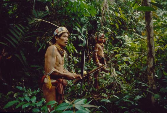 Trek en forêt avec des Mentawaï sur l'île de Siberut