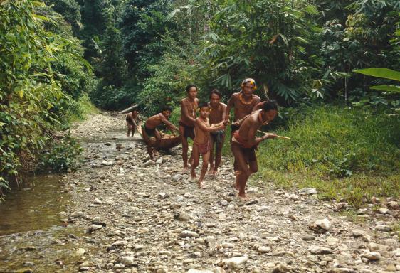 Trekking avec des Mentawaï qui tirent une pirogue en forêt sur l'île de Siberut