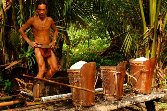 Randonnée vers le travail du sagou dans la vallée d'Attabai sur l'île de Siberut