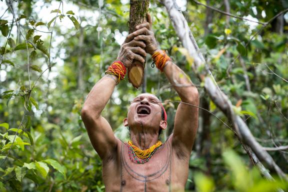 Trekking avec un Mentawaï s'abreuvant en forêt sur l'île de Siberut