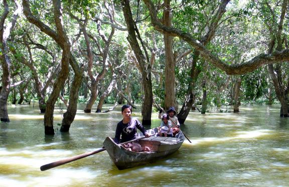 Traversée en pirogue de la forêt inondée de Kampong Phluk sur le lac Tonlé Sap