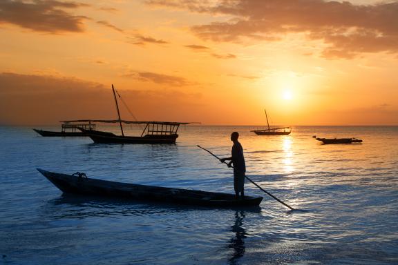 Excursion en dhow à Zanzibar