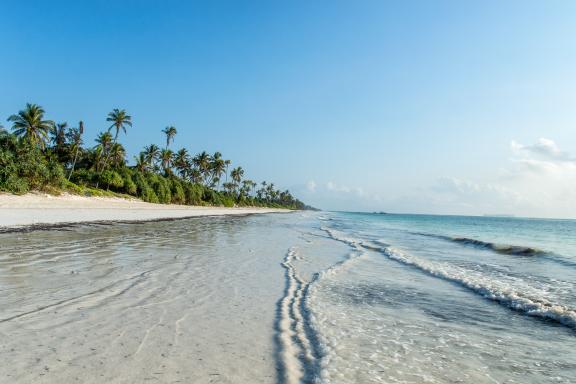 Détente sur les plages de Zanzibar