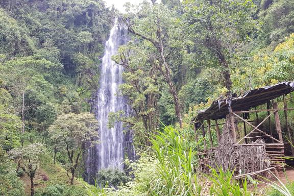 Excursion tribu Chagga à Materuni en Tanzanie