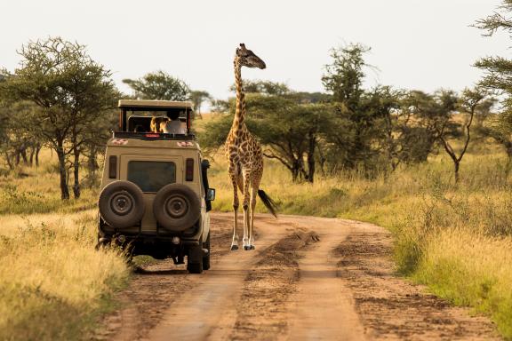 Safari dans le Serengeti en Tanzanie