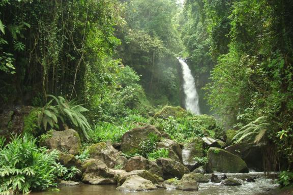 Randonnée au parc national d'Arusha