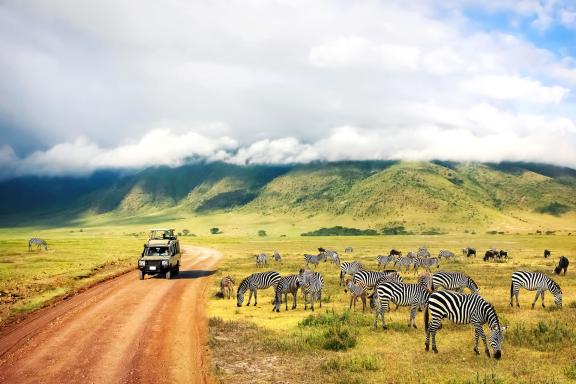 Safari au coeur du cratère du Ngorongoro