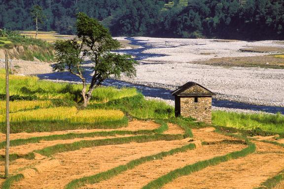 Dans la région des Annapurnas au Népal