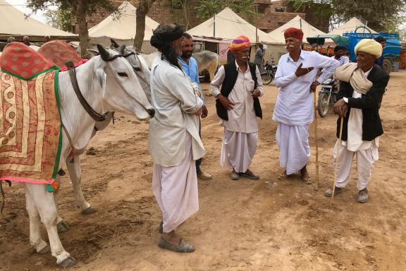 Trek vers un marché aux bestiaux lors d'une foire au Gujarat