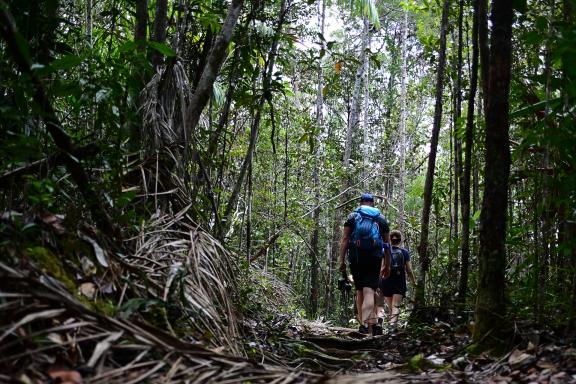 Randonnée dans la forêt du parc national de Bako au Sarawak