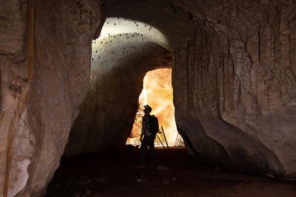 Trekking vers les grottes de Supu en pays sungai