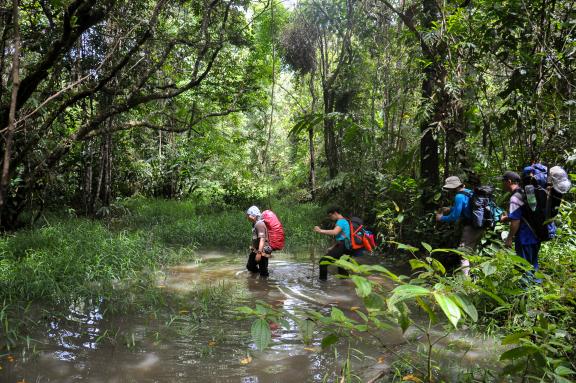 Trekking entre Long Pasia et Long Semadoh entre Sabah et Sarawak