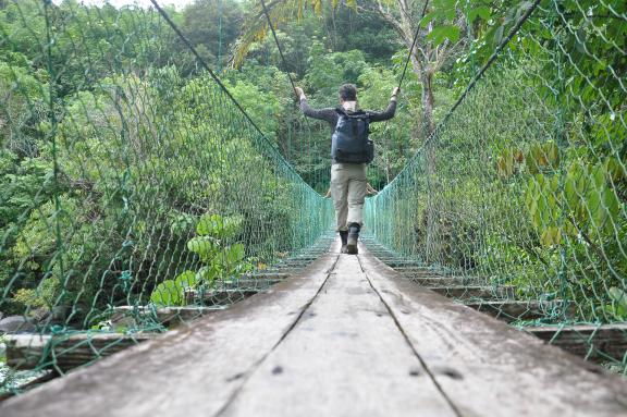 Trek à travers la jungle et traversée d'une passerelle entre Sabah et Sarawak