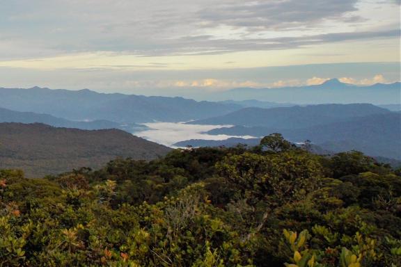 Trekking sur les pentes du Mont Murud au Sarawak oriental