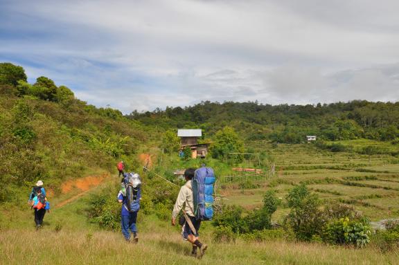 Trek à travers les Bario Highlands au Sarawak oriental