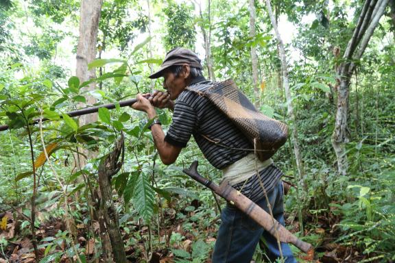 Rencontre avec un chasseur penan et sa sarbacane au Sarawak oriental