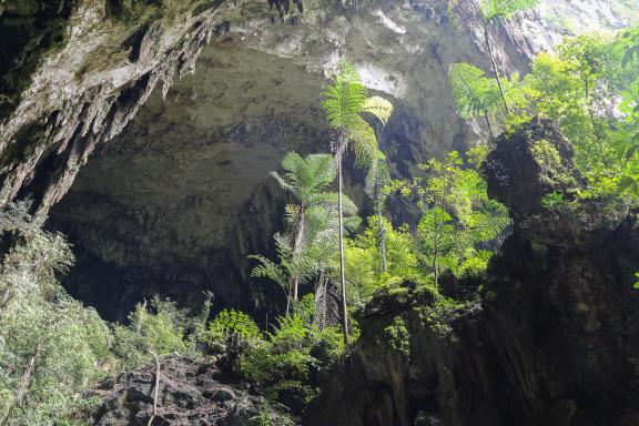 Trekking vers l'entrée d'une grotte de Mulu au Sarawak oriental