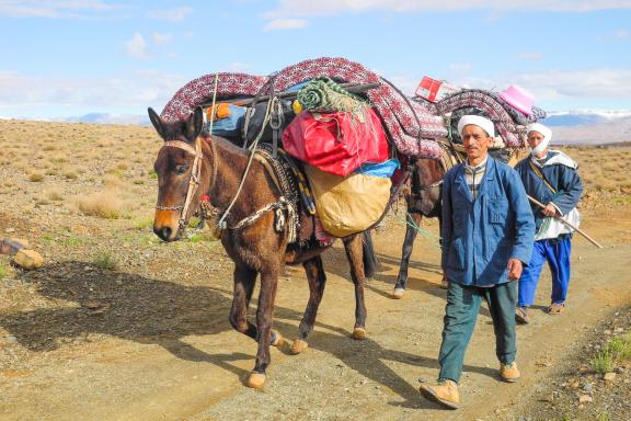 Rencontre avec des muletiers au Maroc