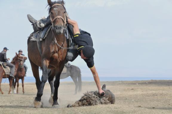 Voyage d'aventure et jeux equestre à Song Kul Kirghizie