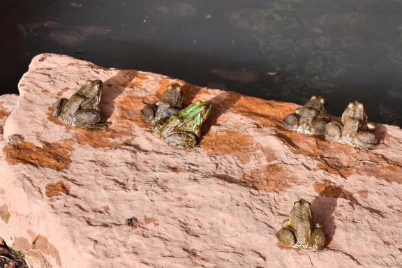 Randonnée près de la piscine d'Aghbalou