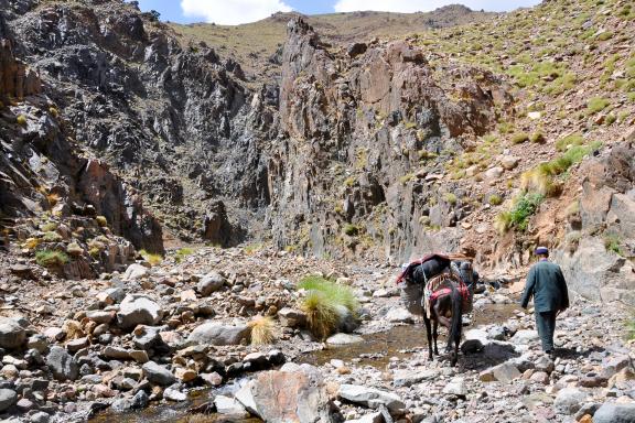 Trek dans la vallée de l'assif Tafklast