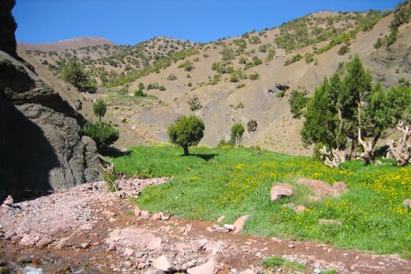 Trekking avant un col au tizi n'Rougoult