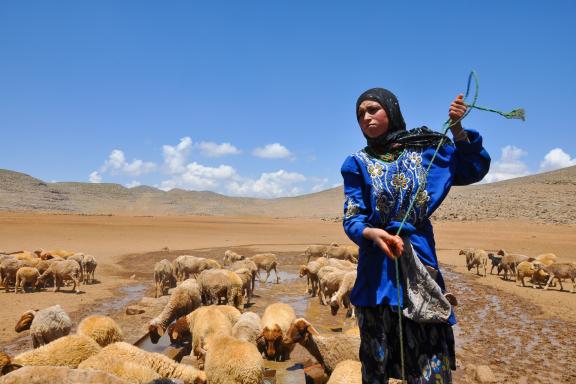 Randonnée près du puit d'Almou n'Ouhanad