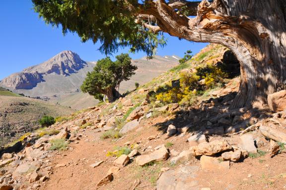 Trekking dans la descente du plateau du Koucer