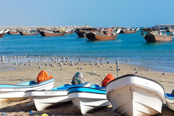 Tourisme sur le côte omanaise de l'océan indien