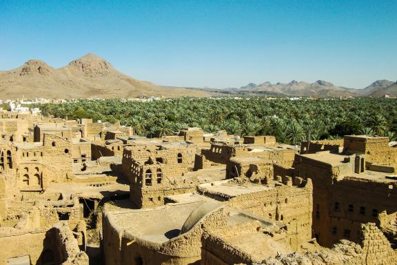 randonnée dans la palmeraie de birkat al Mouz près de Nizwa