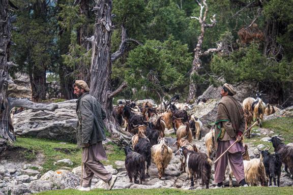 Randonnée et rencontre bergers dans la région du Nanga Parbat à Fairy Meadows Pakistan