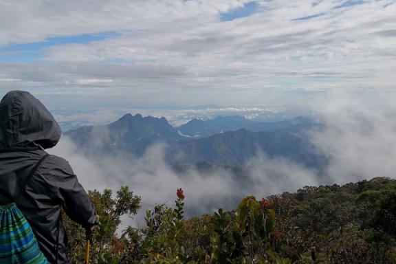 Trek vers le sommet du Mont Mulu au Sarawak oriental