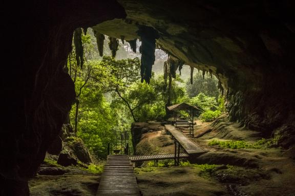 Randonnée vers l'entrée d'une grotte dans le parc national de Mulu