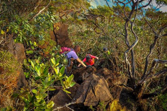 Trekking sur les pentes du Mont Tambuyukon dans l'état de Sabah