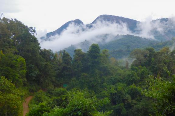 Voyage à travers les montagnes du parc Mae Surin vers le village de Tong Kor