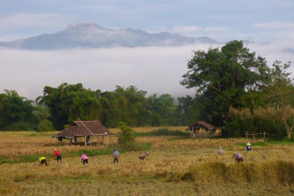 Randonnée vers des travaux agricoles dans les montagnes de la région de Mae Hong Son