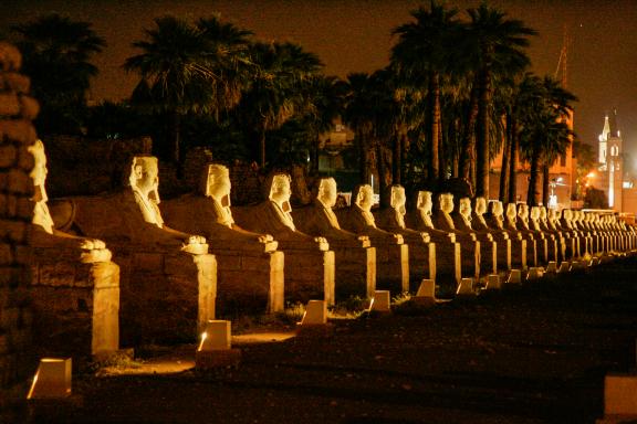 Contemplation de l'allée des Sphinx à Louxor