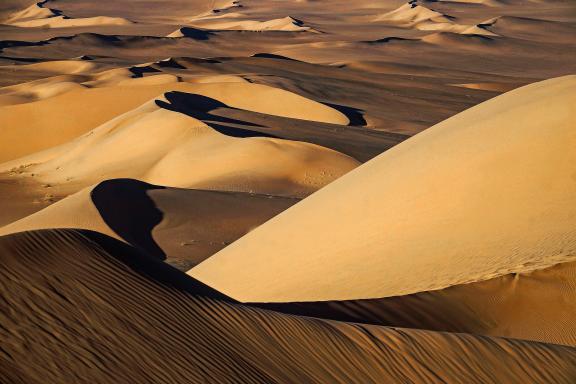 Découverte des dunes dans le Sahara