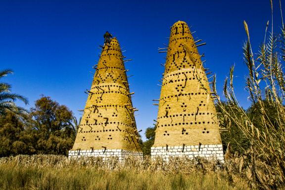 Marche vers des pigeonniers dans l'oasis de Siwa