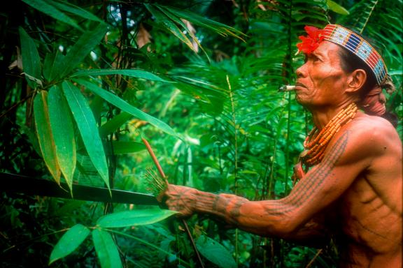 Randonnée avec un chaman qui collecte des plantes médicinales sur l'île de Siberut