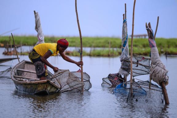 Découverte de l'examen des nasses sur le Lac Nokoué près de Ganvié