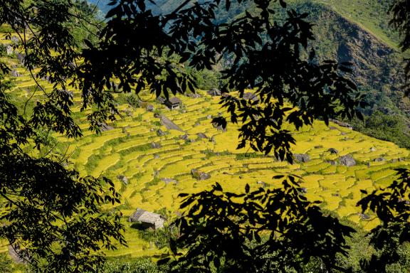 Entre Ekuwa et Thado Kola dans la vallée d’Arun et la région du Makalu au Népal