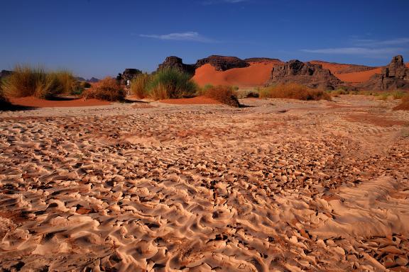 Trek dans une plaine d'Ahnet
