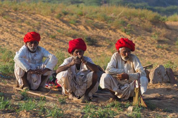 Trek avec des bergers raika entre Rajasthan et Gujarat