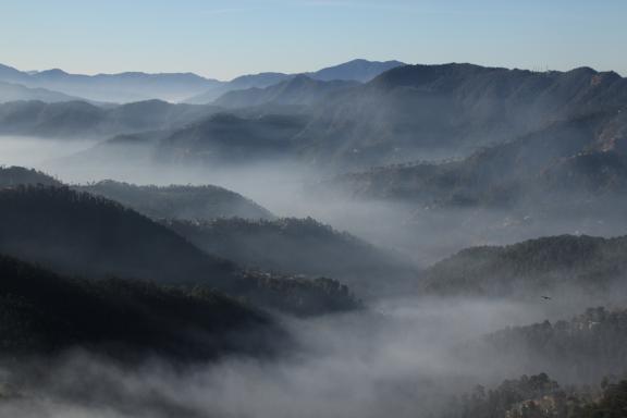 Trek à travers des collines boisées dans le parc national de Satpura