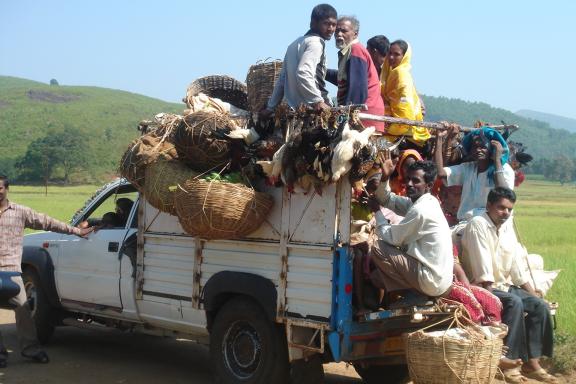 Rencontre avec un transport collectif surchargé au Madhya Pradesh