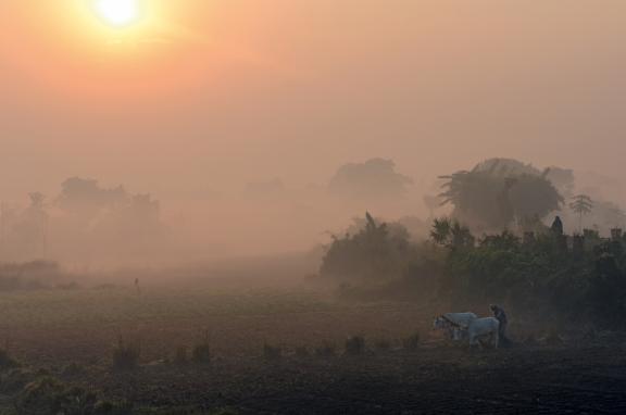 Randonnée à travers la campagne brumeuse du Madhya Pradesh