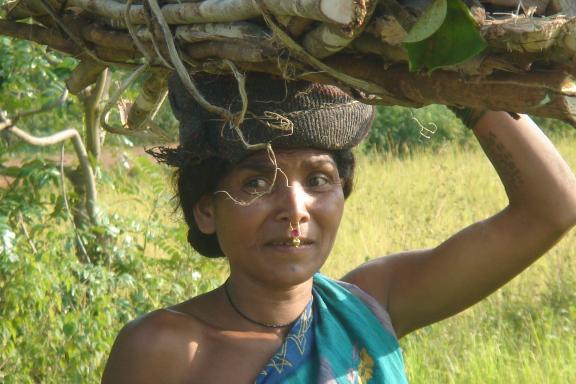 Trek avec une femme collectant du bois au Madhya Pradesh
