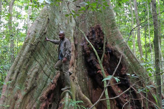 Randonnée dans le parc de Conkouati-Douli au Congo