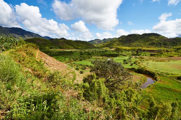 Collines verdoyantes de Madagascar